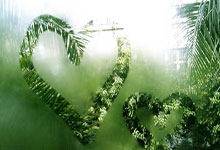 FIFA世界杯-在崇尚超车的F1世界里，这几辆车居然没人敢超？！