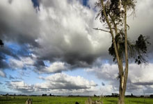 美加墨世界杯-震惊英超！切尔西创历史亏损纪录，伯利时代“烧钱”模式引深思